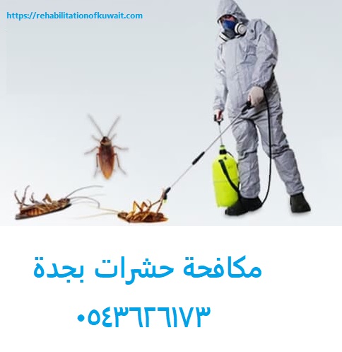 شركة مكافحة حشرات بجدة
