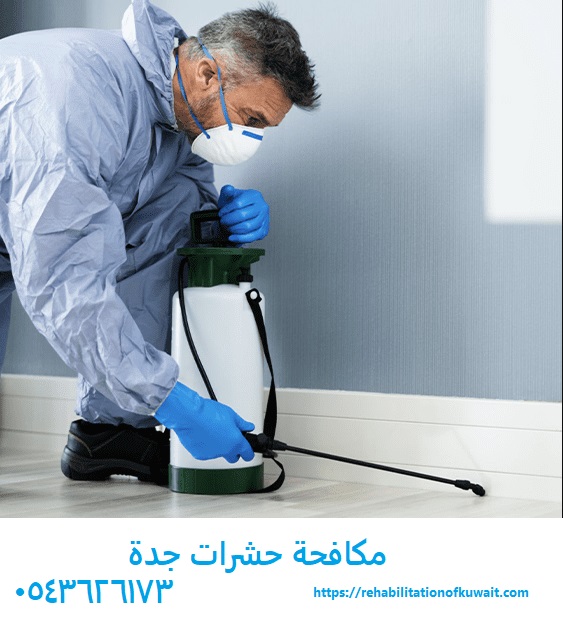شركة مكافحة حشرات جدة